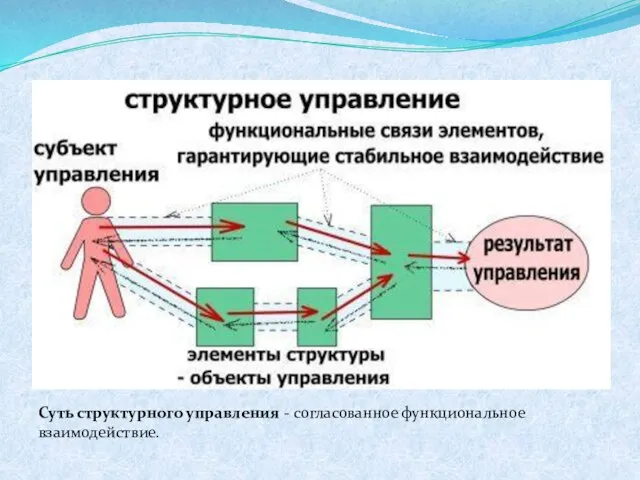 Суть структурного управления - согласованное функциональное взаимодействие.