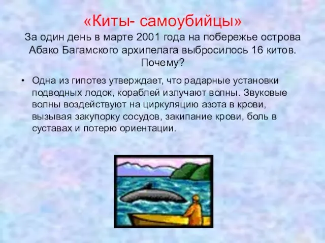 «Киты- самоубийцы» За один день в марте 2001 года на побережье острова