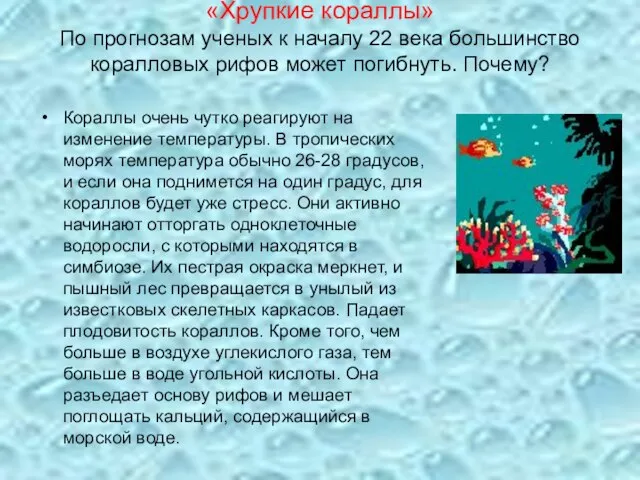 «Хрупкие кораллы» По прогнозам ученых к началу 22 века большинство коралловых рифов