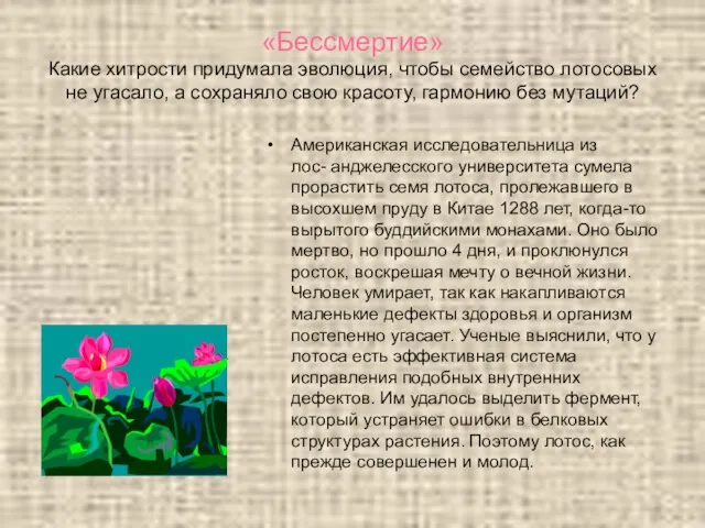 «Бессмертие» Какие хитрости придумала эволюция, чтобы семейство лотосовых не угасало, а сохраняло