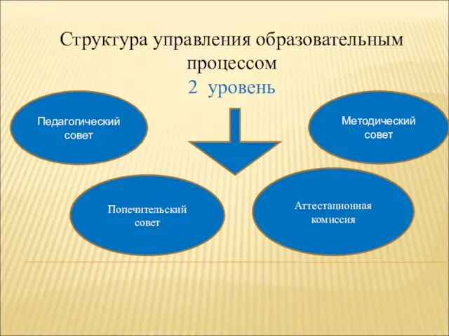 Структура управления образовательным процессом 2 уровень Педагогический совет Попечительский совет Методический совет Аттестационная комиссия