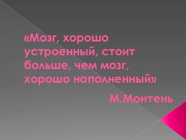 «Мозг, хорошо устроенный, стоит больше, чем мозг, хорошо наполненный» М.Монтень