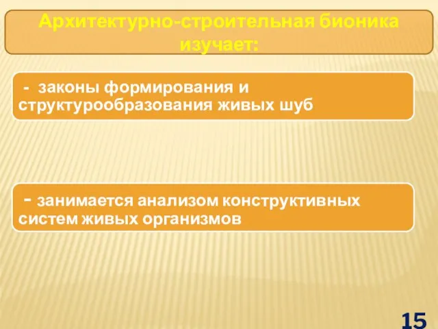 Архитектурно-строительная бионика изучает: - законы формирования и структурообразования живых шуб - занимается