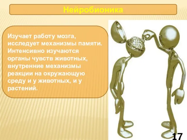 Изучает работу мозга, исследует механизмы памяти. Интенсивно изучаются органы чувств животных, внутренние