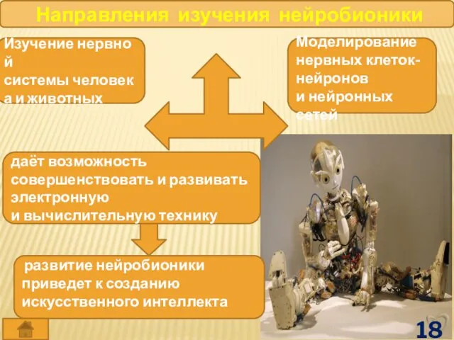 Направления изучения нейробионики Изучение нервной системы человека и животных даёт возможность совершенствовать