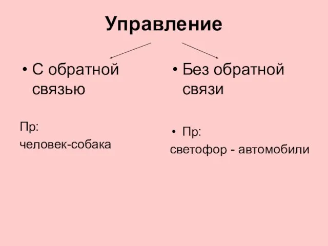 Управление С обратной связью Пр: человек-собака Без обратной связи Пр: светофор - автомобили