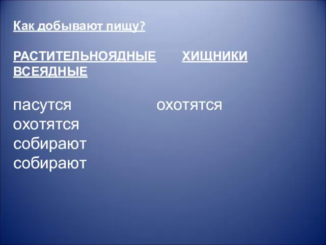 Как добывают пищу? РАСТИТЕЛЬНОЯДНЫЕ ХИЩНИКИ ВСЕЯДНЫЕ пасутся охотятся охотятся собирают собирают