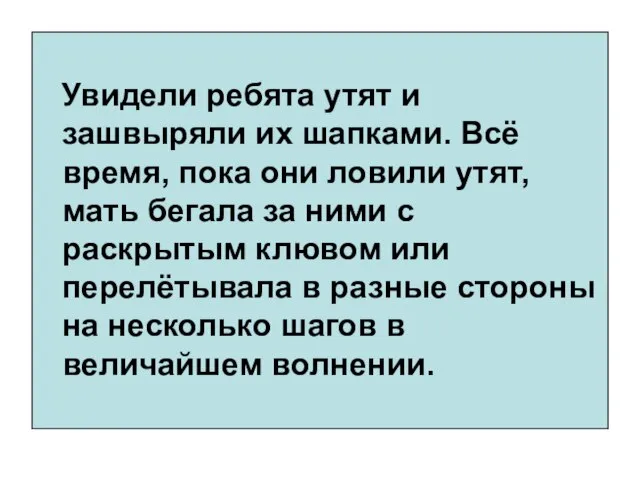 Увидели ребята утят и зашвыряли их шапками. Всё время, пока они ловили