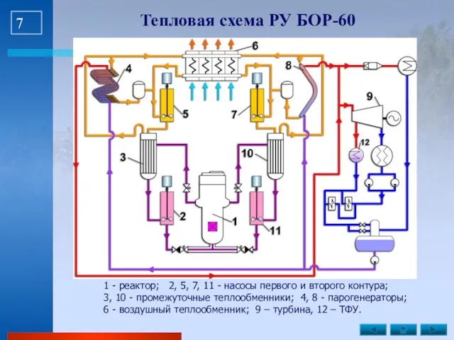 Тепловая схема РУ БОР-60 1 - реактор; 2, 5, 7, 11 -