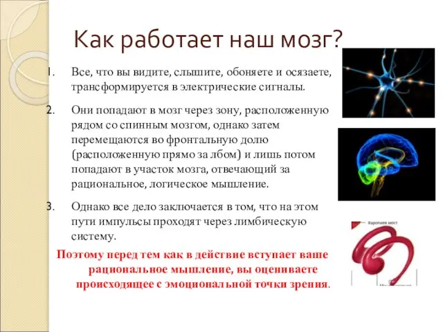 Как работает наш мозг? Все, что вы видите, слышите, обоняете и осязаете,