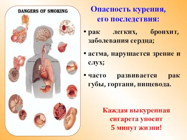 Опасность курения, его последствия: рак легких, бронхит, заболевания сердца; астма, нарушается зрение