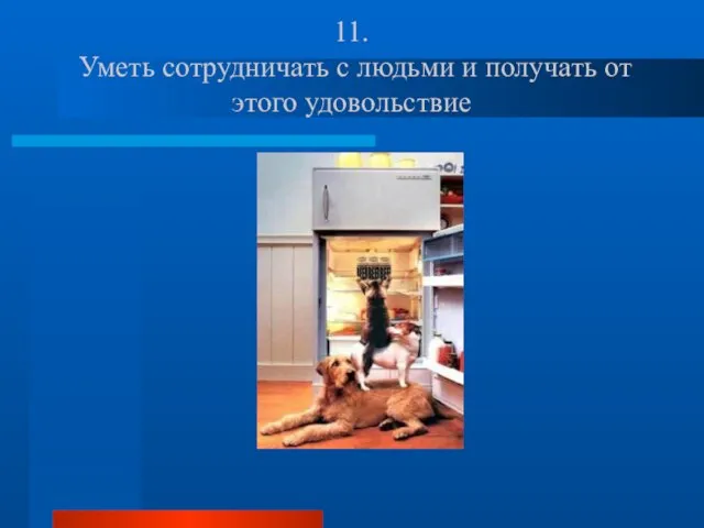 11. Уметь сотрудничать с людьми и получать от этого удовольствие