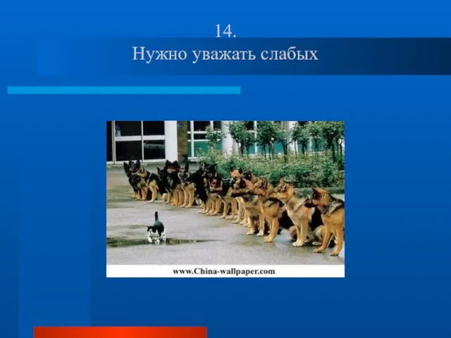 14. Нужно уважать слабых