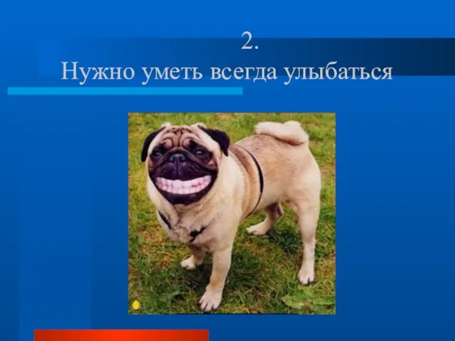 2. Нужно уметь всегда улыбаться