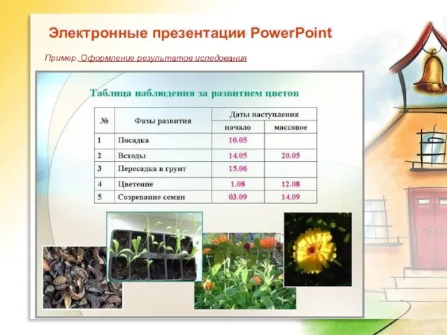 Электронные презентации PowerPoint Пример. Оформление результатов иследования