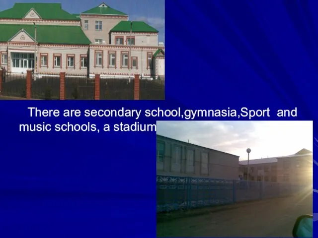 There are secondary school,gymnasia,Sport and music schools, a stadium.