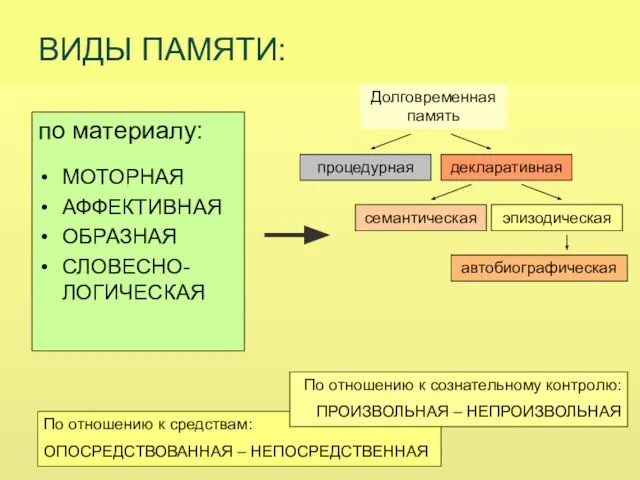 ВИДЫ ПАМЯТИ: по материалу: МОТОРНАЯ АФФЕКТИВНАЯ ОБРАЗНАЯ СЛОВЕСНО-ЛОГИЧЕСКАЯ декларативная процедурная семантическая эпизодическая