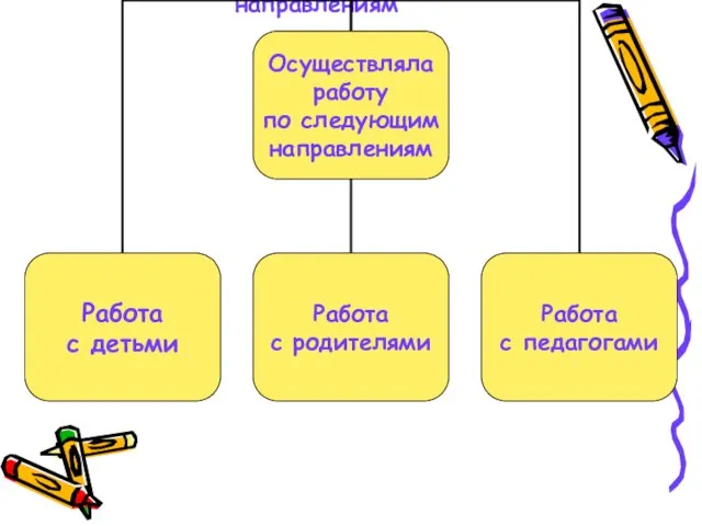 Осуществляла работу по следующим направлениям