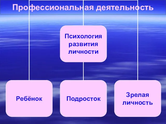 Профессиональная деятельность