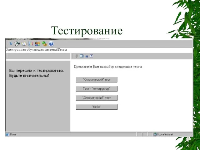 Тестирование