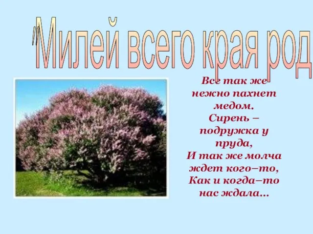 Все так же нежно пахнет медом. Сирень – подружка у пруда, И