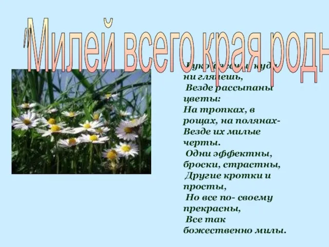 Рукой весны, куда ни глянешь, Везде рассыпаны цветы: На тропках, в рощах,