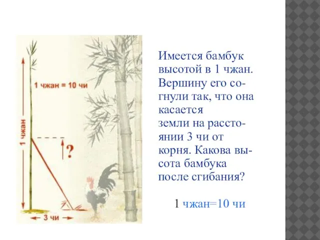 Имеется бамбук высотой в 1 чжан. Вершину его со- гнули так, что