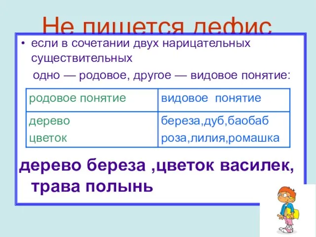 Не пишется дефис если в сочетании двух нарицательных существительных одно — родовое,