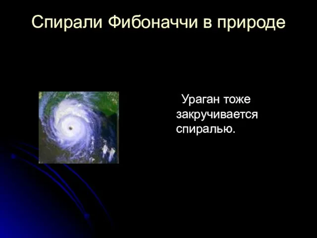 Спирали Фибоначчи в природе Ураган тоже закручивается спиралью.