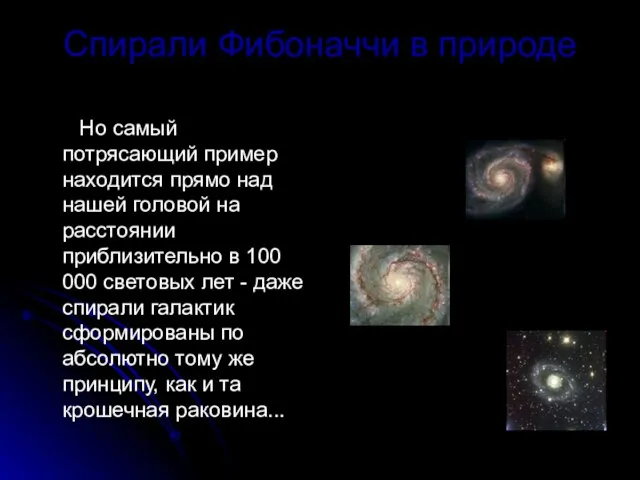 Спирали Фибоначчи в природе Но самый потрясающий пример находится прямо над нашей