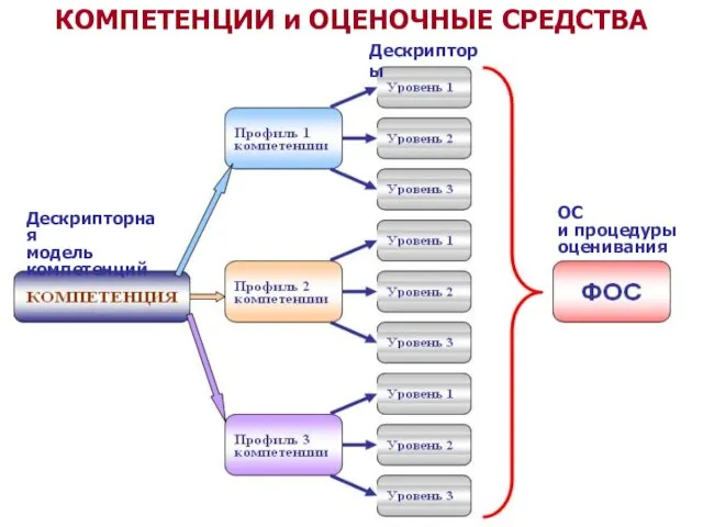 КОМПЕТЕНЦИИ и ОЦЕНОЧНЫЕ СРЕДСТВА Дескрипторная модель компетенций Дескрипторы ОС и процедуры оценивания