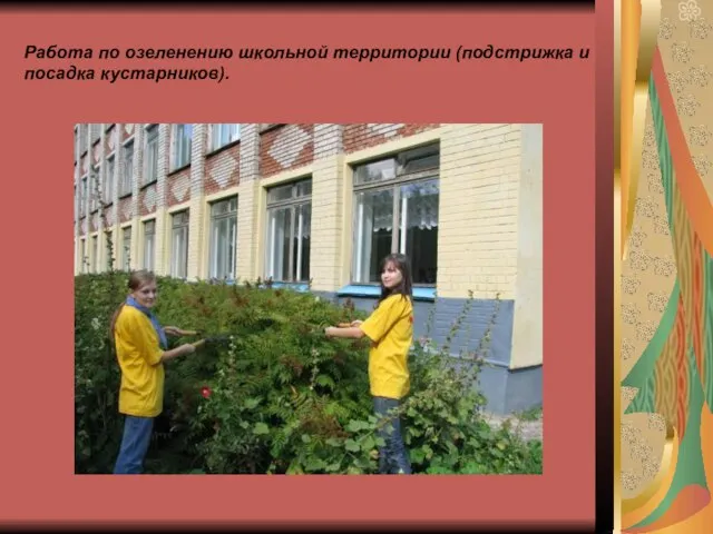 Работа по озеленению школьной территории (подстрижка и посадка кустарников).