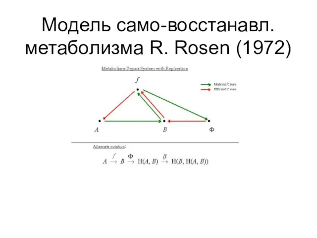 Модель само-восстанавл. метаболизма R. Rosen (1972)