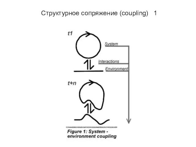 Структурное сопряжение (coupling) 1