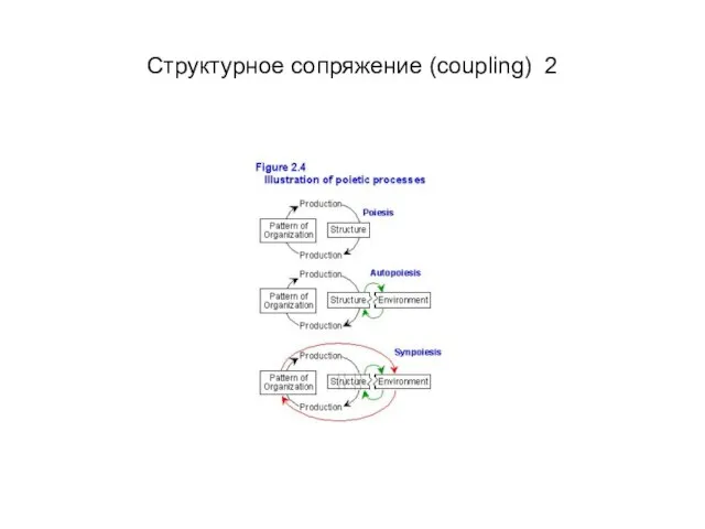 Структурное сопряжение (coupling) 2