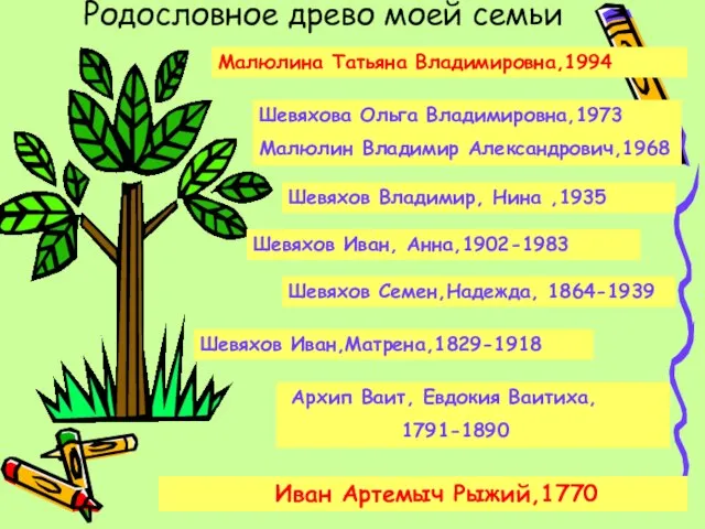 Родословное древо моей семьи Шевяхов Иван, Анна,1902-1983 Шевяхов Владимир, Нина ,1935 Шевяхова