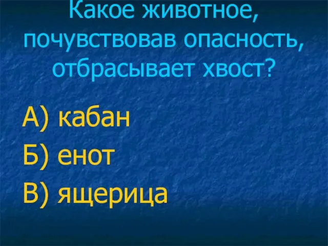 Какое животное, почувствовав опасность, отбрасывает хвост? А) кабан Б) енот В) ящерица