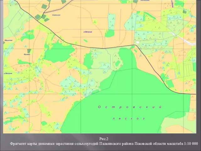 Рис.2 Фрагмент карты динамики зарастания сельхозугодий Палкинского района Псковской области масштаба 1:10 000