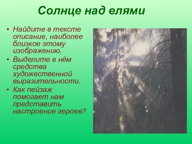 Солнце над елями Найдите в тексте описание, наиболее близкое этому изображению. Выделите