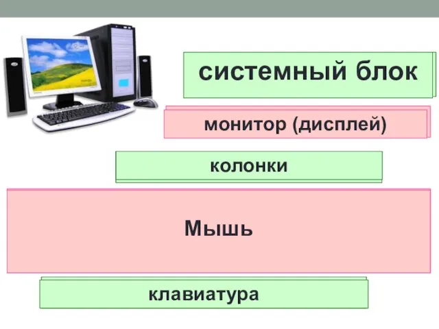 На его экран выводится изображение при работе компьютера. Это В нём хранится