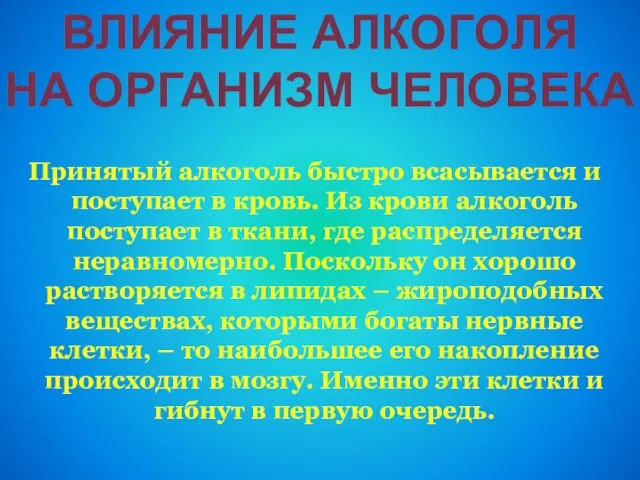 ВЛИЯНИЕ АЛКОГОЛЯ НА ОРГАНИЗМ ЧЕЛОВЕКА Принятый алкоголь быстро всасывается и поступает в