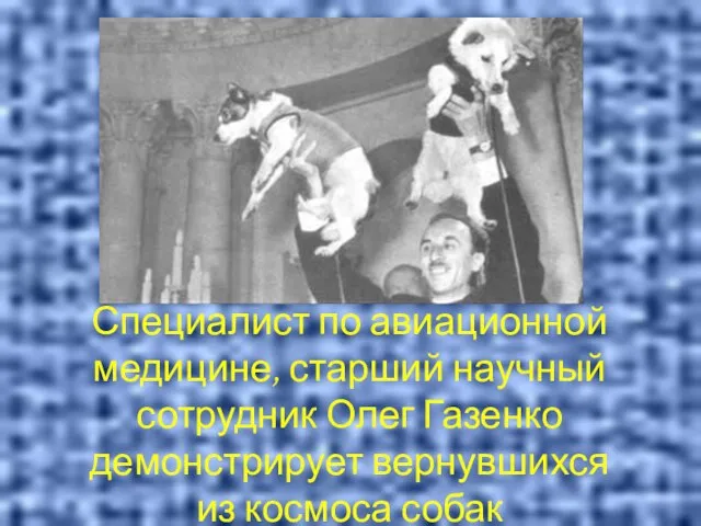 Специалист по авиационной медицине, старший научный сотрудник Олег Газенко демонстрирует вернувшихся из космоса собак