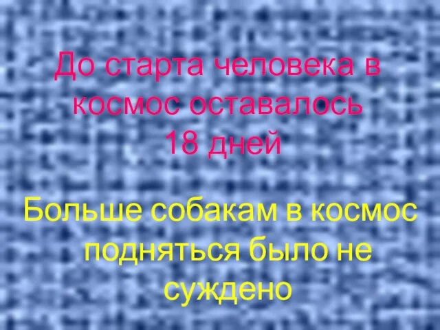 До старта человека в космос оставалось 18 дней Больше собакам в космос подняться было не суждено