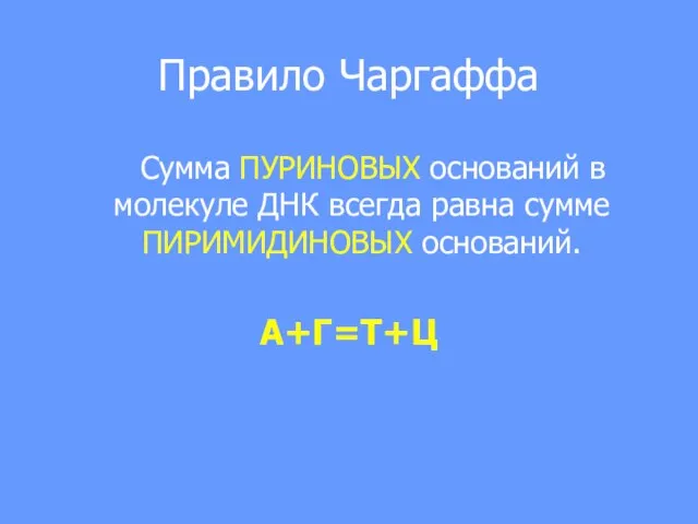 Правило Чаргаффа Сумма ПУРИНОВЫХ оснований в молекуле ДНК всегда равна сумме ПИРИМИДИНОВЫХ оснований. А+Г=Т+Ц