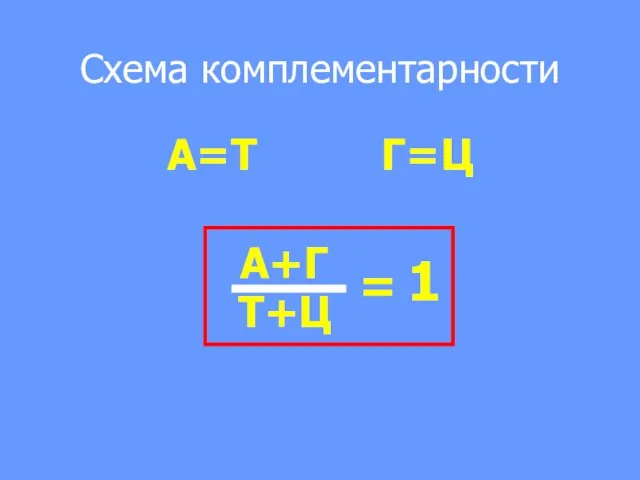 Схема комплементарности А=Т Г=Ц А+Г Т+Ц = 1