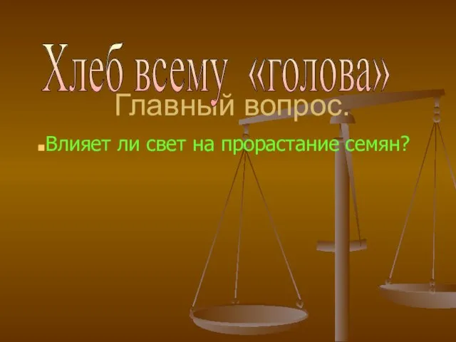 Главный вопрос. Влияет ли свет на прорастание семян? Хлеб всему «голова»