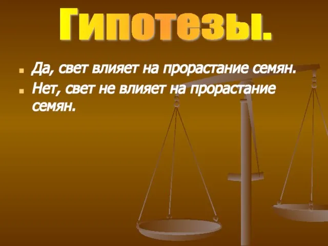 Да, свет влияет на прорастание семян. Нет, свет не влияет на прорастание семян. Гипотезы.