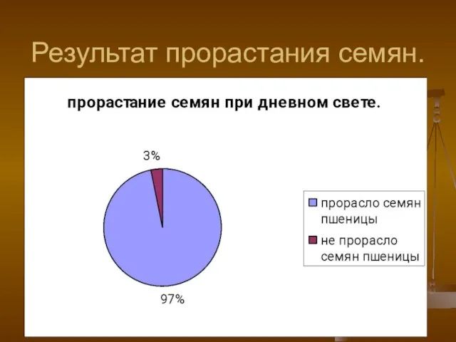 Результат прорастания семян.