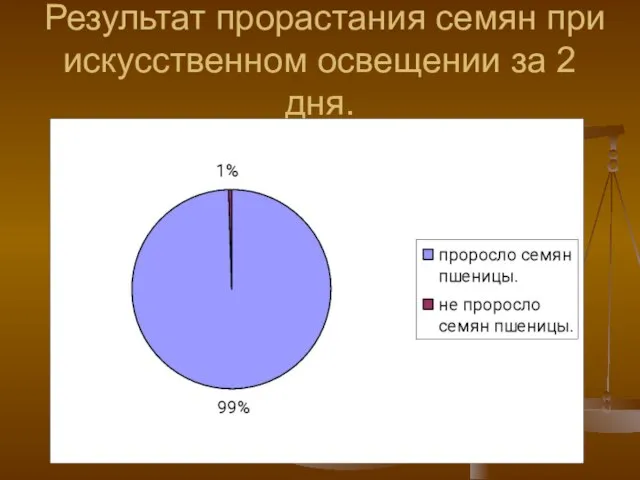 Результат прорастания семян при искусственном освещении за 2 дня.