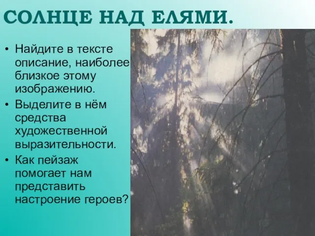 СОЛНЦЕ НАД ЕЛЯМИ. Найдите в тексте описание, наиболее близкое этому изображению. Выделите